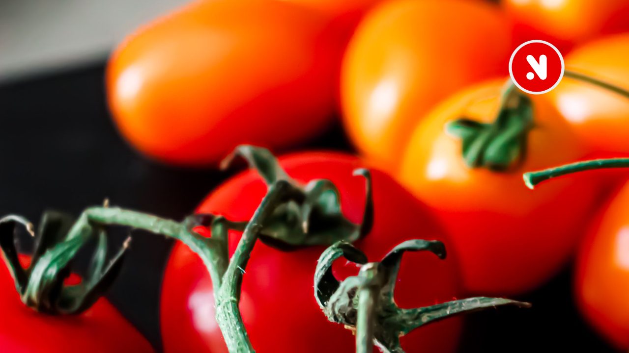 Verbraucherwarnung: Salmonellen in Cocktailtomaten aus Sizilien – Behörden warnen vor Rohverzehr